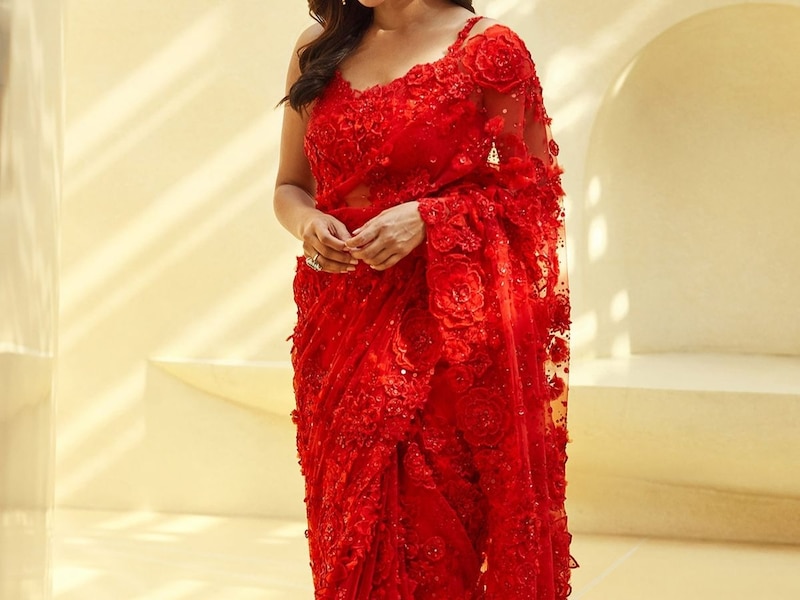 नेट साड़ी