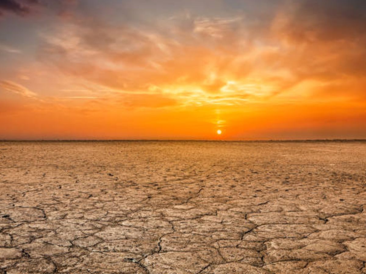 जीवन की सीमाओं की खोज