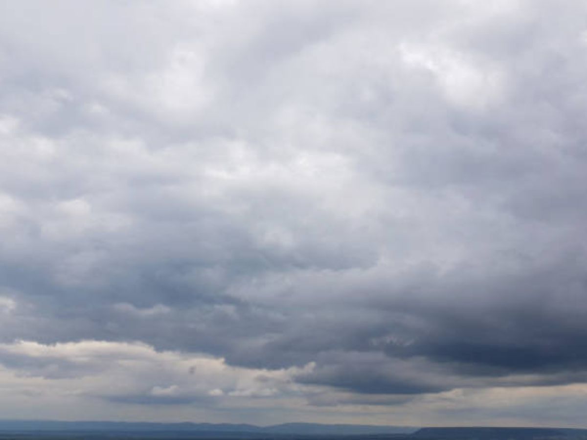 नमी की मात्रा