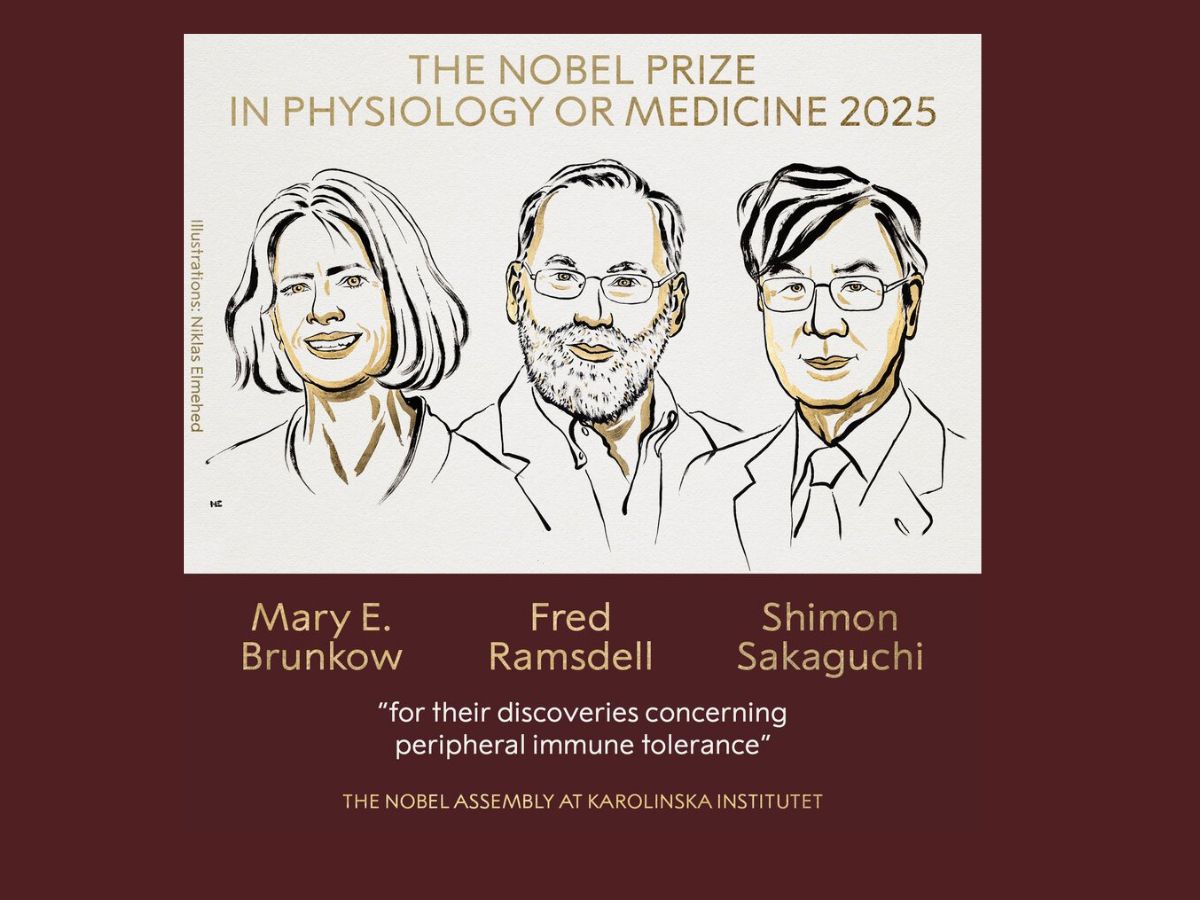 Nobel Prize 2025: ମେଡିସିନ୍ ପାଇଁ ୩ ବୈଜ୍ଞାନିକଙ୍କୁ ନୋବେଲ୍ ପୁରସ୍କାର Nobel Prize 2025: ମେଡିସିନ୍ ପାଇଁ ୩ ବୈଜ୍ଞାନିକଙ୍କୁ ନୋବେଲ୍ ପୁରସ୍କାର