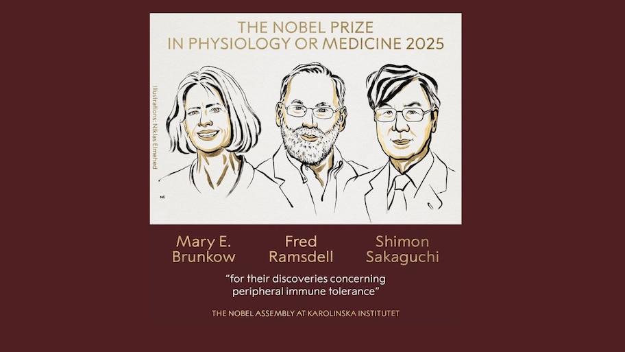 Nobel Prize 2025: ମେଡିସିନ୍ ପାଇଁ ୩ ବୈଜ୍ଞାନିକଙ୍କୁ ନୋବେଲ୍ ପୁରସ୍କାର