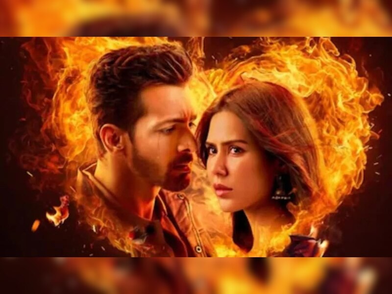 एक दीवाने की दीवानियत