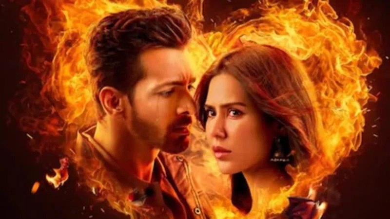 एक दीवाने की दीवानियत