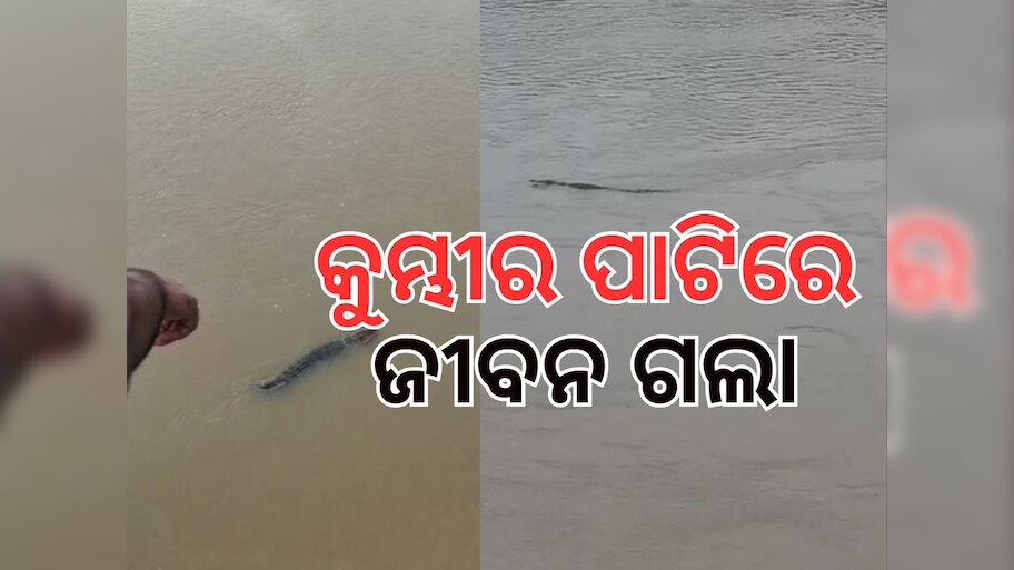 ଖରସ୍ରୋତାରେ ଅଘଟଣ, କନ୍ତିଆରେ ମହିଳାଙ୍କୁ ଟାଣିନେଲା କୁମ୍ଭୀର