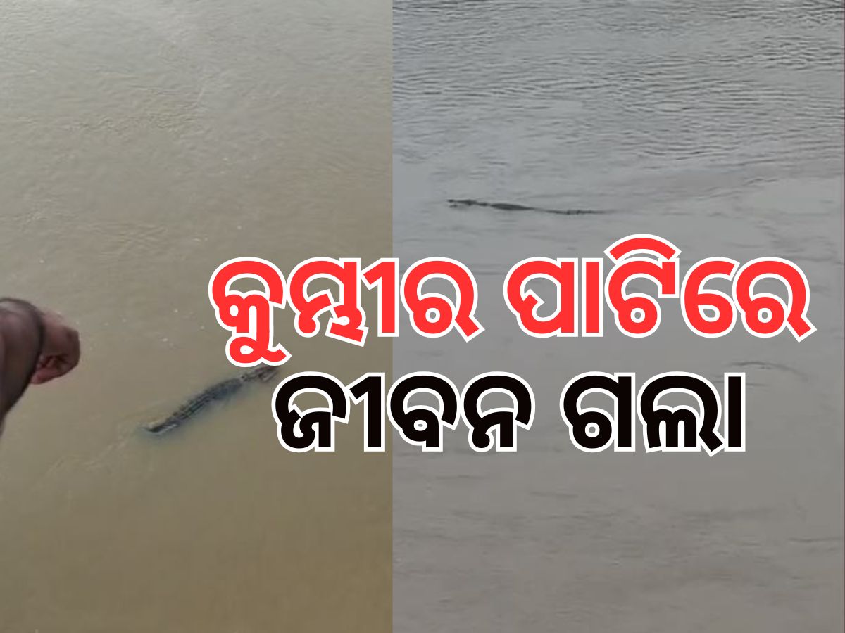 ଖରସ୍ରୋତାରେ ଅଘଟଣ, କନ୍ତିଆରେ ମହିଳାଙ୍କୁ ଟାଣିନେଲା କୁମ୍ଭୀର ଖରସ୍ରୋତାରେ ଅଘଟଣ, କନ୍ତିଆରେ ମହିଳାଙ୍କୁ ଟାଣିନେଲା କୁମ୍ଭୀର