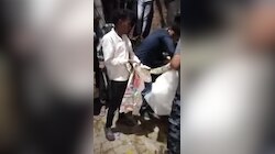 Lucknow Snake Video: कार का बोनट खुला तो निकला अजगर, जैसे-तैसे बाहर निकाला तो लंबाई देख उड़े सबके होश!