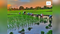 ଜଳବାୟୁ ଆଧାରିତ ବୀମା ଆଣିବ ଭାରତ, ଏପରି କରିବାରେ ବିଶ୍ୱର ହେବ ପ୍ରଥମ ରାଷ୍ଟ୍ର