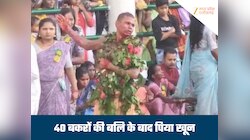 एक-एक कर काट डाले 40 बकरे, बलि चढ़ाकर खून पी गया बैगा, जानिए क्या है परंपरा
