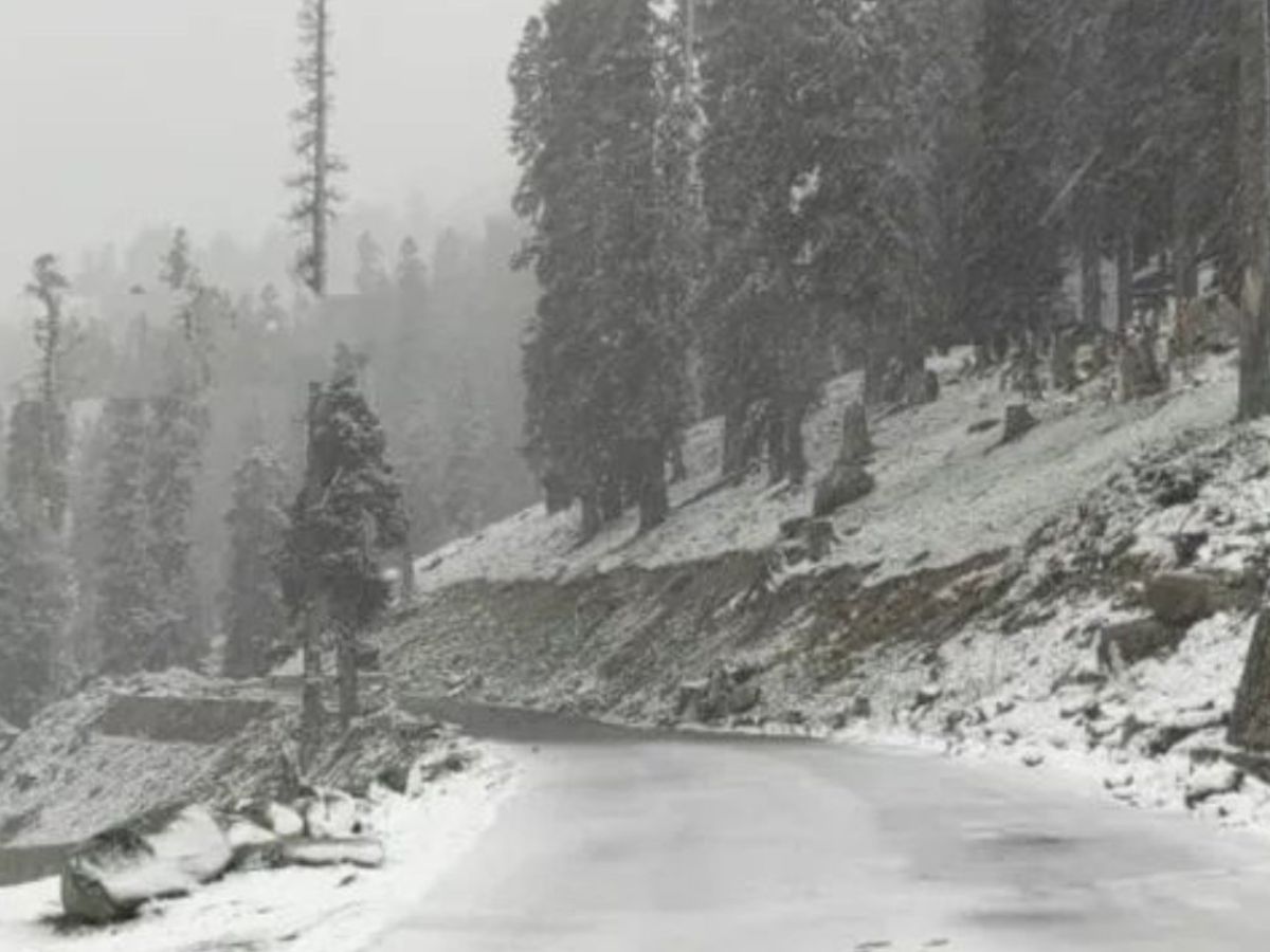 लगातार दो दिनों की बर्फबारी के बाद कश्मीर का हाल