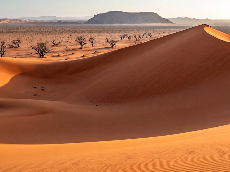 सॉससुस्वेई  मरुस्थल, नामिबिया