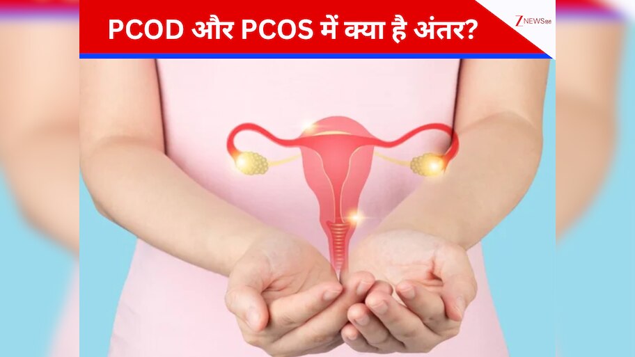 difference between pcod and pcos symptoms of pcod sign of pcos | PCOD ...
