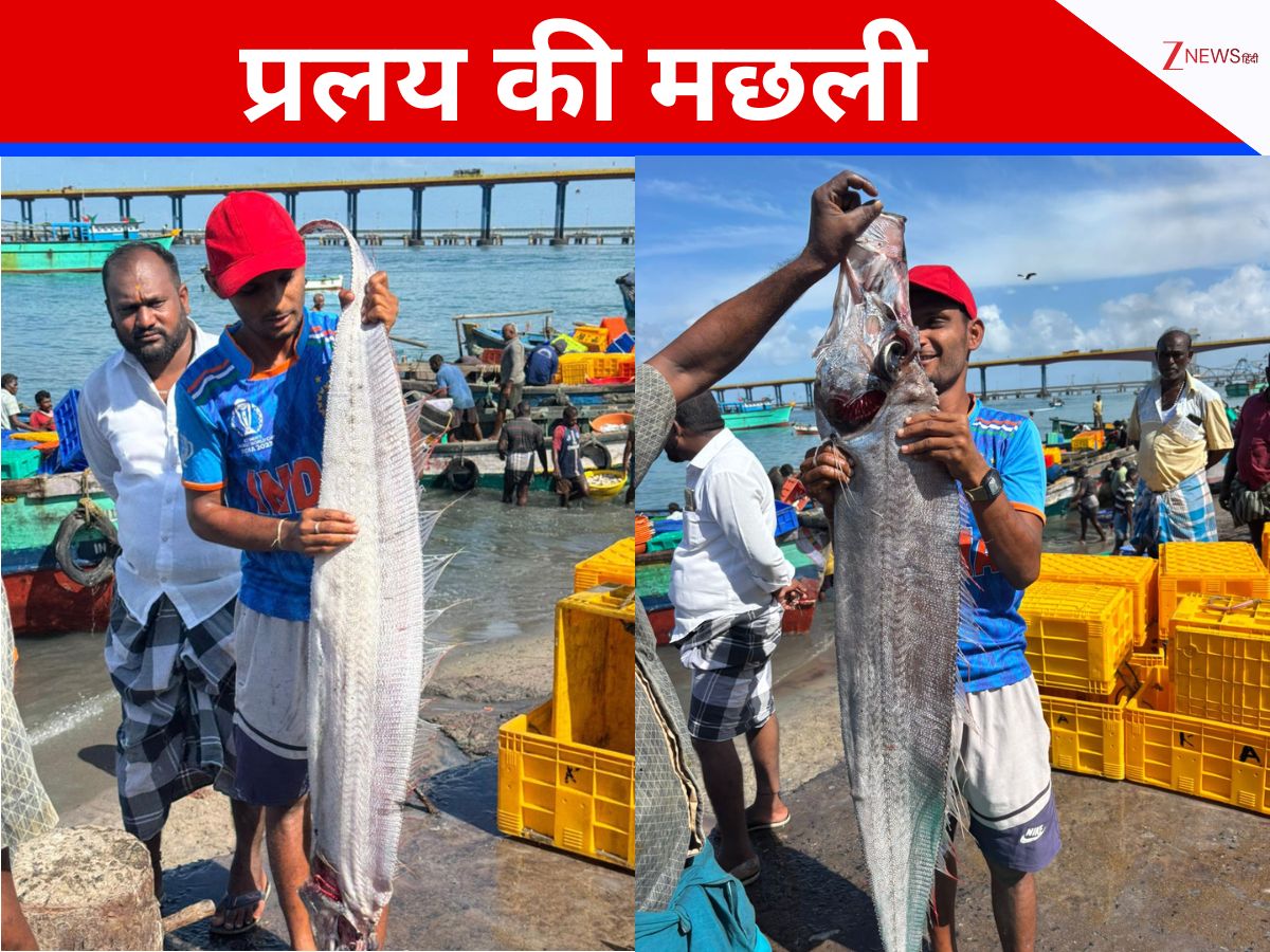 अब क्या भयानक होने वाला है? भारत में दूसरी बार दिखी 'कयामत'; अब कहां मिली प्रलय की मछली ओरफिश अब क्या भयानक होने वाला है? भारत में दूसरी बार दिखी 'कयामत'; अब कहां मिली प्रलय की मछली ओरफिश