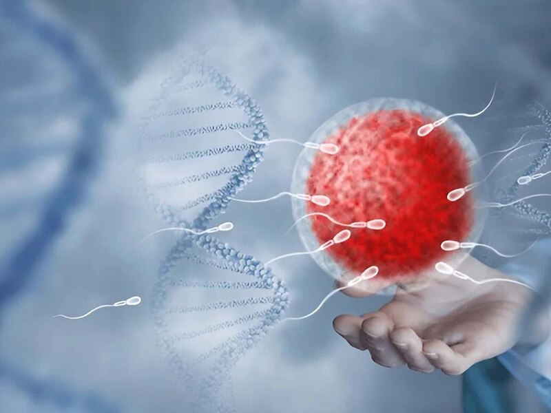 स्पर्म की गुणवत्ता