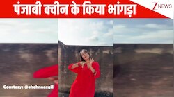 'खंड लद दी' गाने पर पंजाब दी कुड़ी Shehnaaz Gill ने किया जबरदस्त डांस, प्यारे से एक्सप्रेशंस पर पिघला फैंस का दिल!