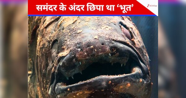 scientists capture image of prehistoric sea monster fish believed to ...