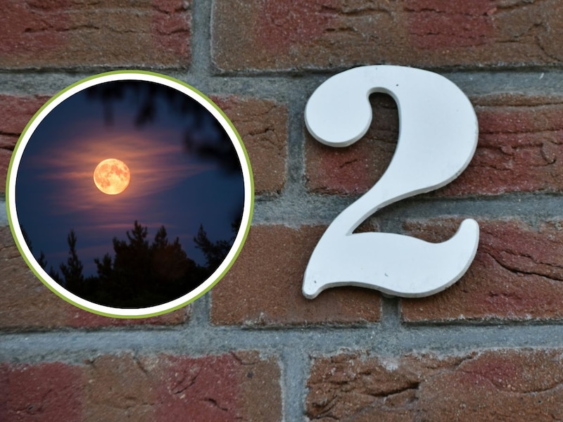 मूलांक 2