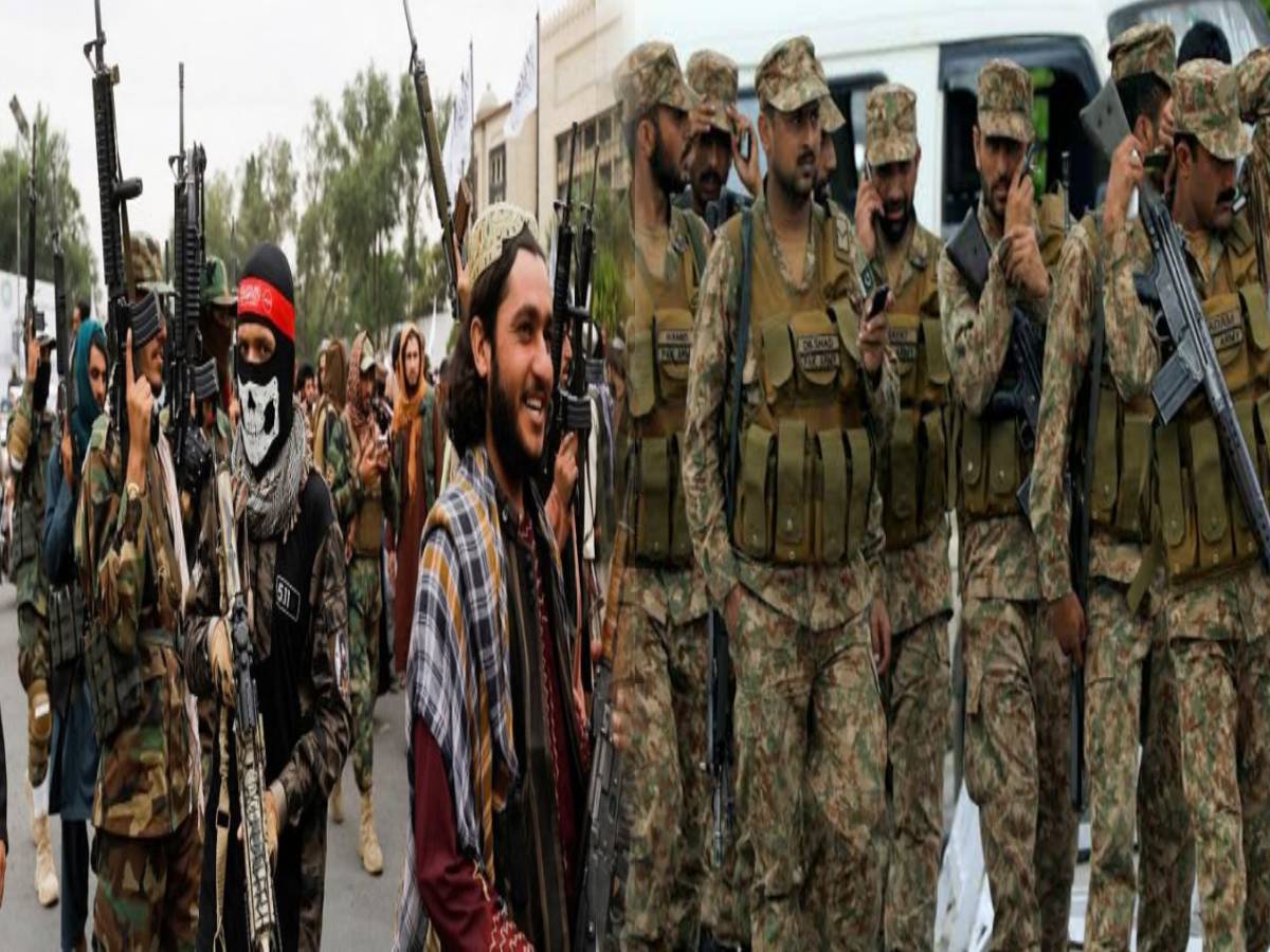 11 सैनिकों के बदले 19 आतंकियों को पहुंचाया जहन्नुम, पाकिस्तानी सेना और TTP में खूनी संघर्ष 11 सैनिकों के बदले 19 आतंकियों को पहुंचाया जहन्नुम, पाकिस्तानी सेना और TTP में खूनी संघर्ष