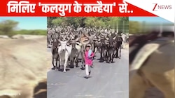सोशल मीडिया पर दिल जीत रहा है ये 'कलयुग का कन्हैया', गौमाताओं का अद्भुत प्रेम देख मंत्रमुग्ध कर देगा VIDEO