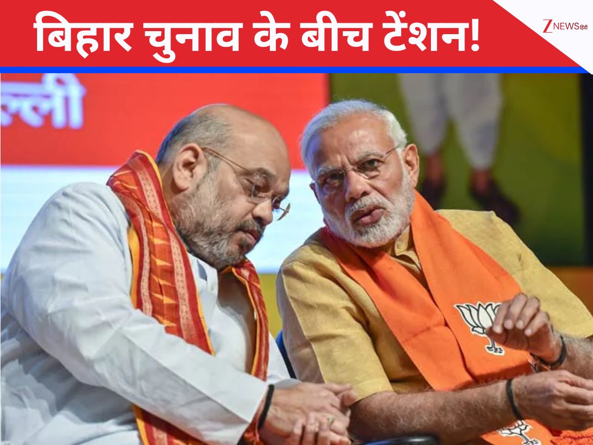 बिहार चुनाव के बीच BJP को इस राज्य में चाहिए नया एलायंस; TVK समेत इन पार्टियों को साधने की कोशिश बिहार चुनाव के बीच BJP को इस राज्य में चाहिए नया एलायंस; TVK समेत इन पार्टियों को साधने की कोशिश