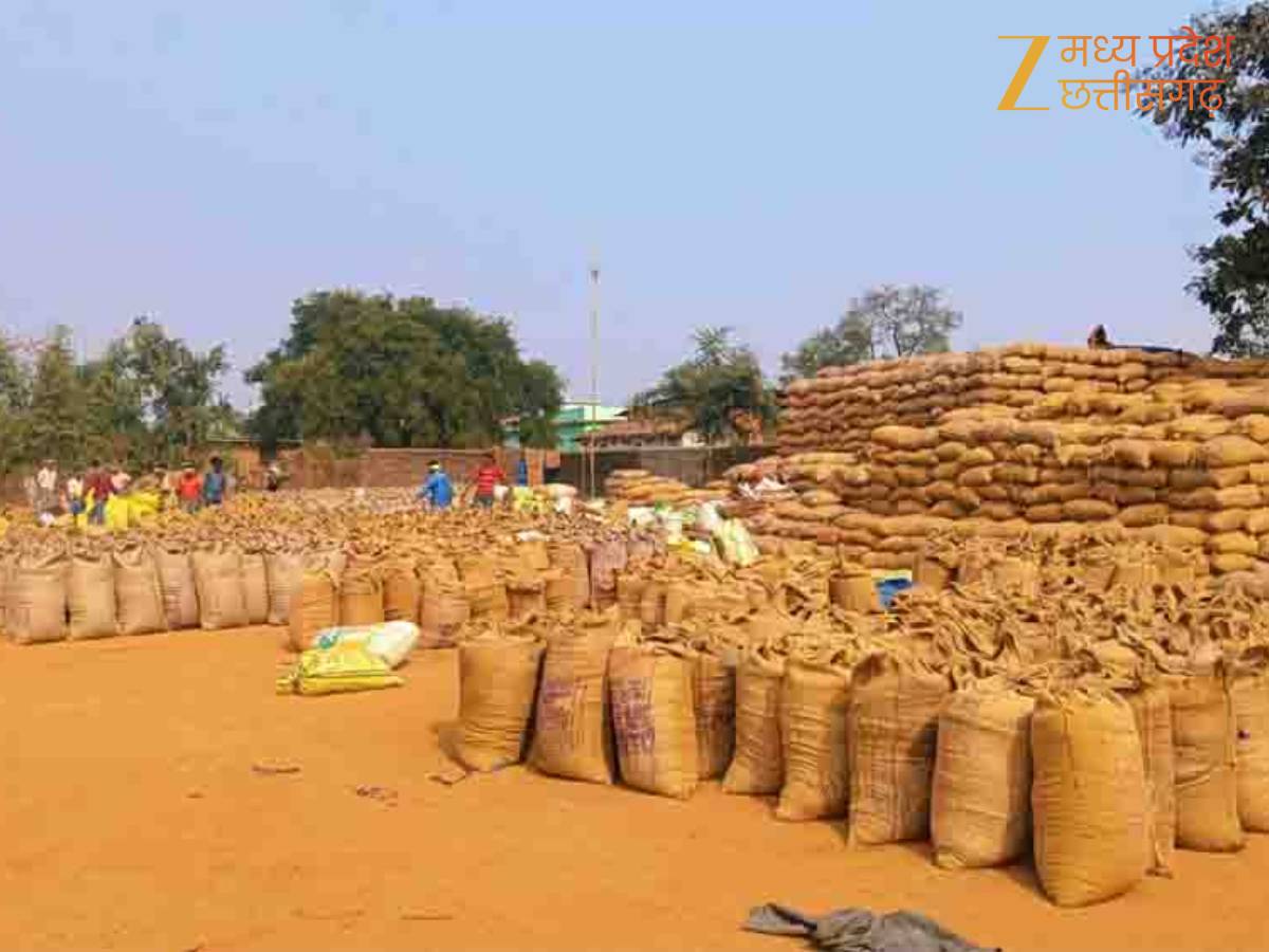 छत्तीसगढ़ में धान खरीदी