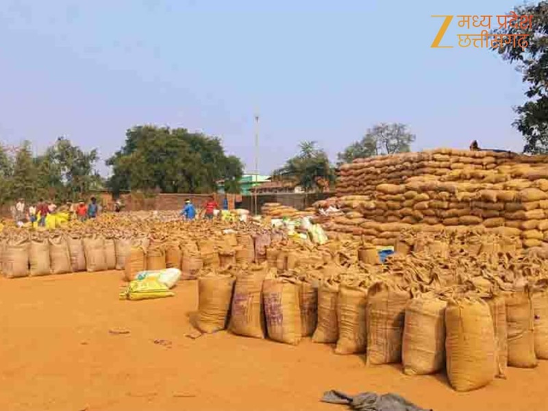 छत्तीसगढ़ में धान खरीदी