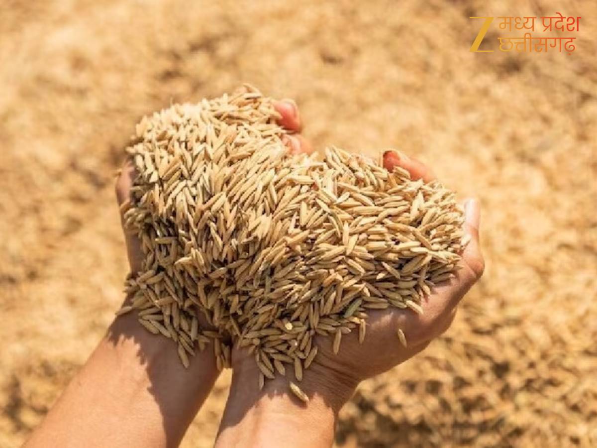 धान तिहार का आगाज