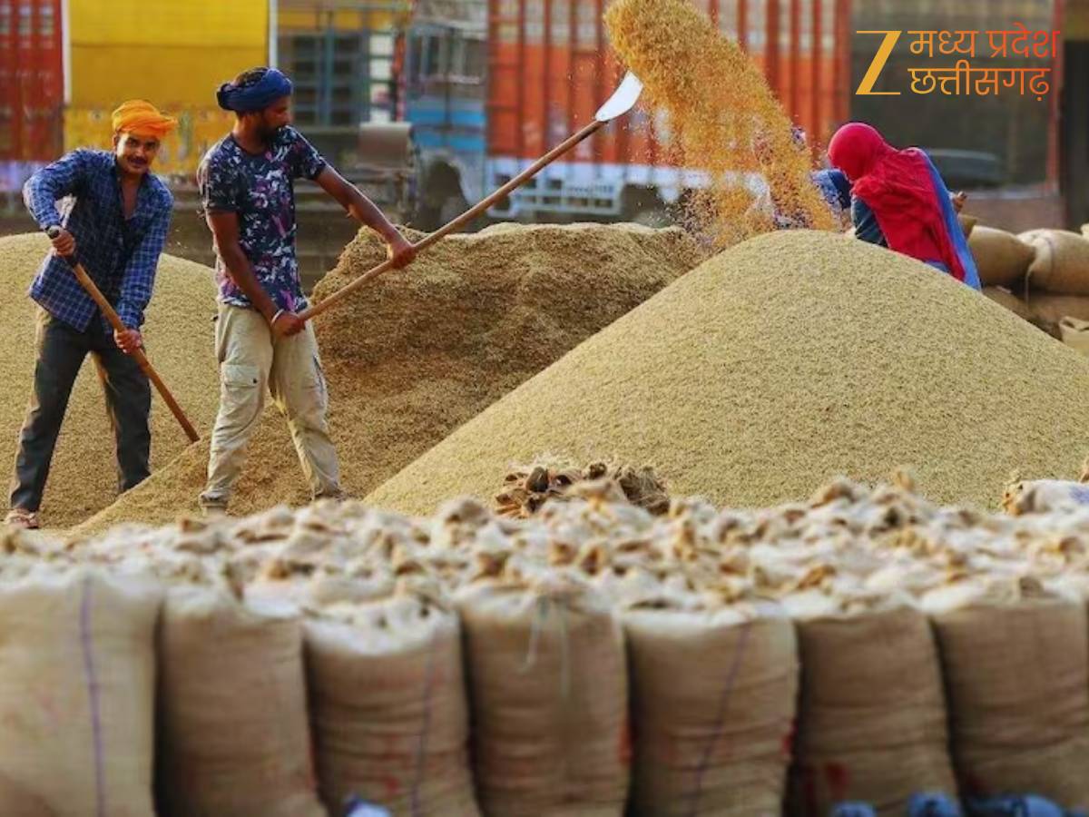 समर्थन मूल्य