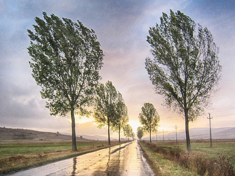 हल्की बारिश और हवा