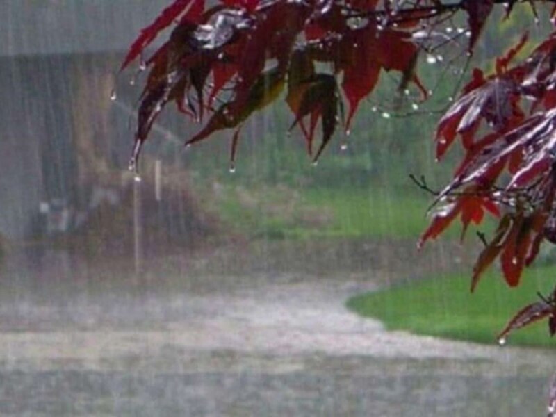 हल्की बारिश की संभावना