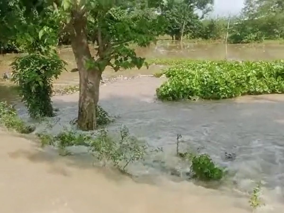 सड़कों और तटबंधों को हुआ नुकसान