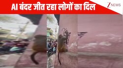AI बंदर ने जीता पब्लिक का दिल, कोयले से दीवार पर बनाता दिखा भगवान हनुमान की तस्वीर; इंटरनेट पर छाया VIDEO