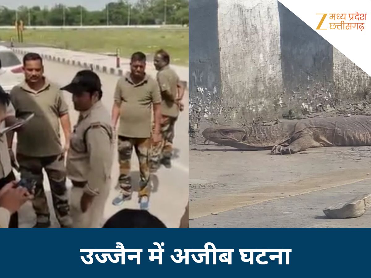 उज्जैन में दिखा रहस्यमयी विशालकाय जीव! देखकर सहम गए लोग, वन विभाग ने शुरू की तलाश उज्जैन में दिखा रहस्यमयी विशालकाय जीव! देखकर सहम गए लोग, वन विभाग ने शुरू की तलाश