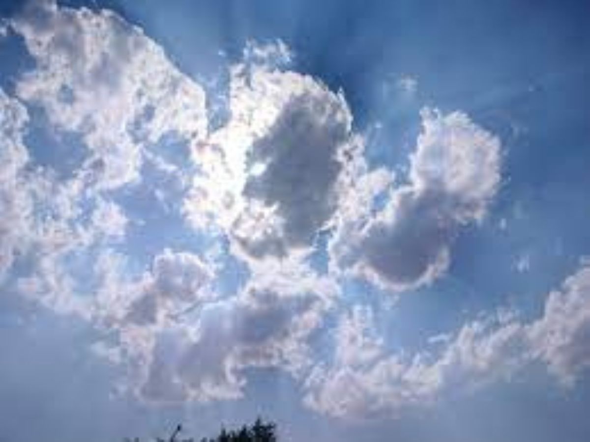 साफ आसमान और खुशनुमा सुबह का नजारा