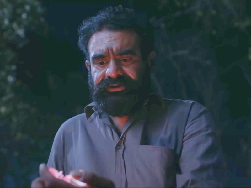 फिल्म ने जीत लिया दर्शकों का दिल 