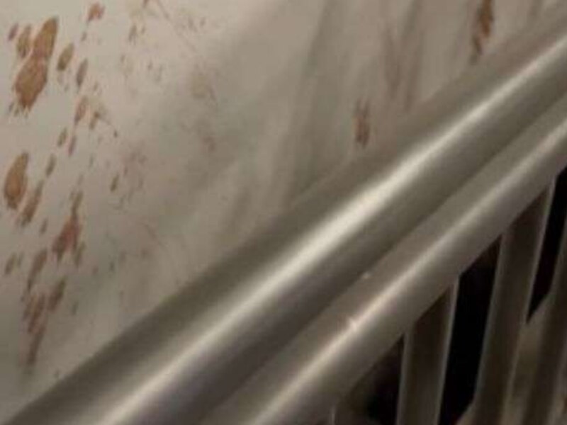 कुछ लोगों की वजह से बिहार हो रहा बदनाम