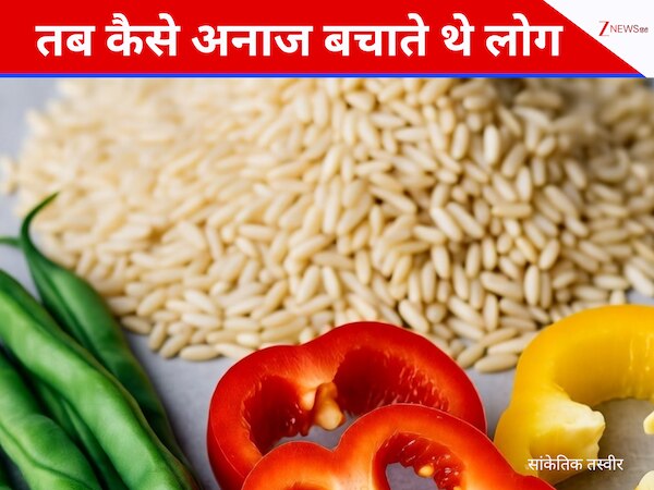 न लाइट, न ही फ्रिज; फिर भी सुरक्षित रहती थी सब्जियां, सालों पहले लोग कैसे बचाते थे अनाज?