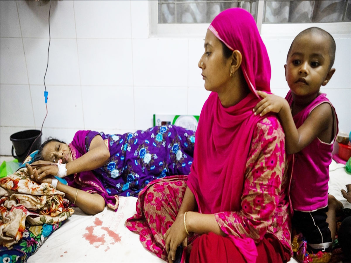 बांग्लादेश में डेंगू से हाहाकार, सिर्फ 24 घंटे में 5 लोगों की मौत; जानें अब तक कितने लोगों की गई जान बांग्लादेश में डेंगू से हाहाकार, सिर्फ 24 घंटे में 5 लोगों की मौत; जानें अब तक कितने लोगों की गई जान