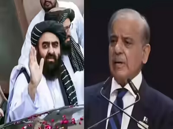 भारत-अफगानिस्तान के संयुक्त बयान पर भड़का पाकिस्तान, कहा- कश्मीर को...'