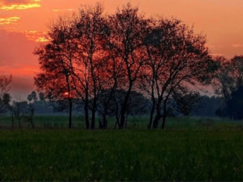 नमी की मात्रा