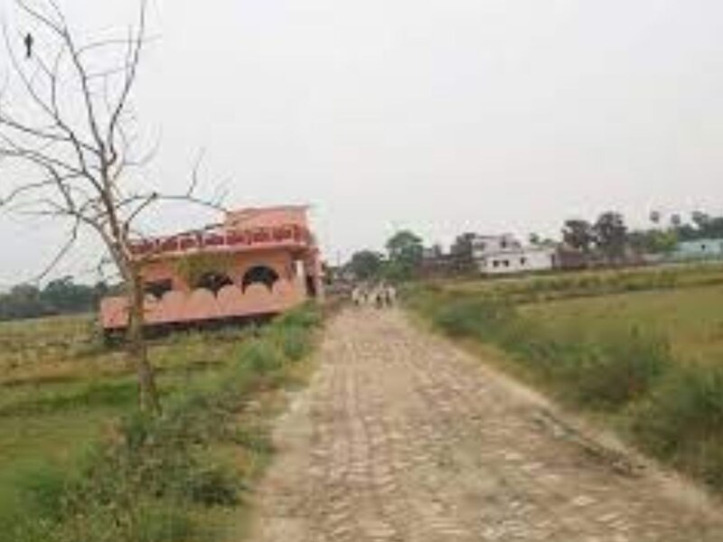 अधिकतम और न्यूनतम तापमान 