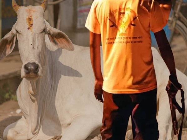 पुलिस के सामने पशु व्यपारियों पर गौरक्षकों ने किया हमला, 24 घंटे बाद हुई FIR