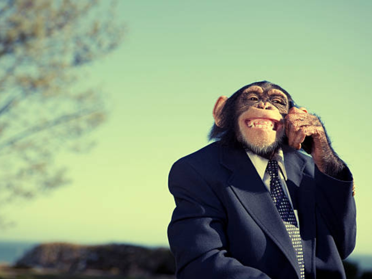 सीखने और सिखाने में माहिर