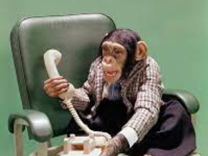 औजारों का करते हैं इस्तेमाल