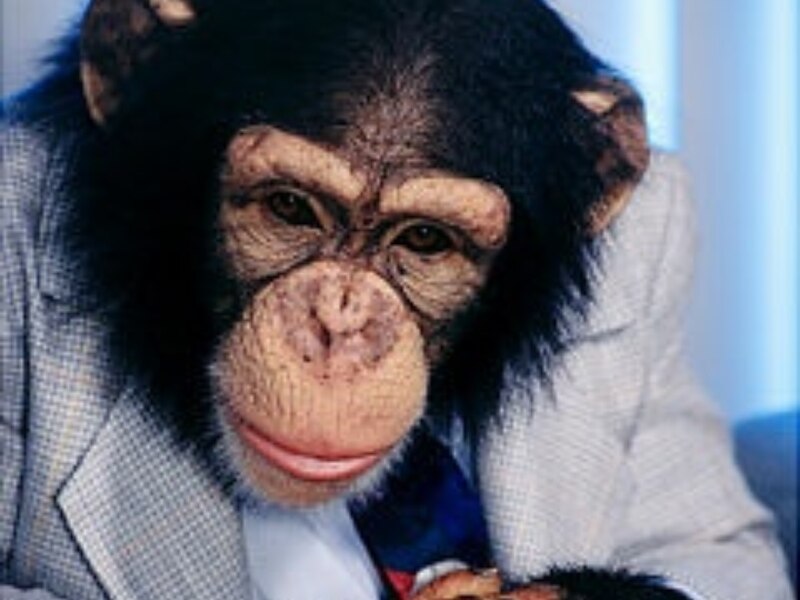 इंसानों से मिलता है 98% DNA