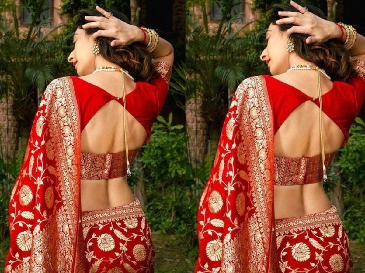 बैक ब्लाउज डिजाइन-5