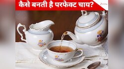 कैसे बनाएं परफेक्ट चाय? ब्रिटेन के चाय स्पेशलिस्टों का दावा- 90 फीसदी लोग नहीं जानते