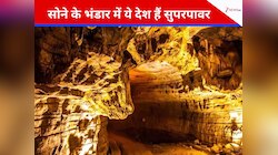 दुबई और स्विट्जरलैंड नहीं... इन देशों के पास है गोल्ड और सिल्वर का भंडार