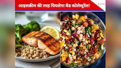 आइसक्रीम की तरह खुद पिघलने लगेगा बैड कोलेस्ट्रॉल, इन चीजों को करें डाइट में शामिल