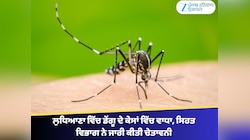 ਲੁਧਿਆਣਾ ਵਿੱਚ ਡੇਂਗੂ ਦੇ ਕੇਸਾਂ ਵਿੱਚ ਵਾਧਾ, ਸਿਹਤ ਵਿਭਾਗ ਨੇ ਜਾਰੀ ਕੀਤੀ ਚੇਤਾਵਨੀ
