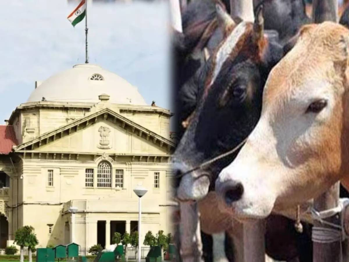गौ-हत्या के नाम पर हो रहे फर्जी मुकदमे, इलाहाबाद HC ने योगी सरकार को लगाई फटकार गौ-हत्या के नाम पर हो रहे फर्जी मुकदमे, इलाहाबाद HC ने योगी सरकार को लगाई फटकार